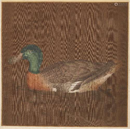 ANONYMOUS, 17th/18th century Chinese School, ink and watercolour on silk, study of a duck in