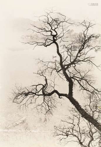 郎静山（1892～1995） 湖光林影（背面） 摄影