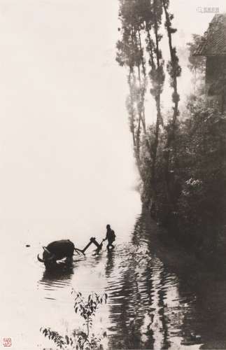 郎静山（1892～1995） 牛耕图 摄影