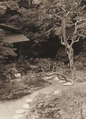 郎静山（1892～1995） 庭院花木深 摄影