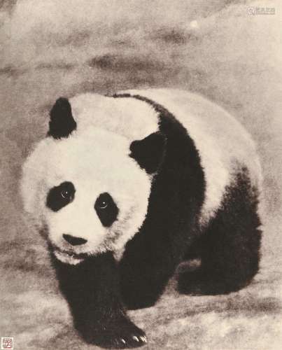 郎静山（1892～1995） 西蜀熊猫 摄影