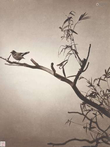 郎静山（1892～1995） 晓风残月 摄影