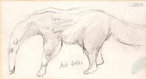John Minton (1917-1957) Anteater
