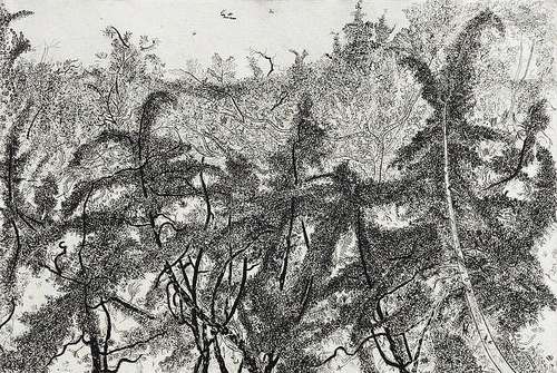 Anthony Gross (1905-1984) Juniper Forest