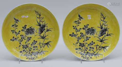 Pair of porcelain dishes. China. Kuang Hsu mark and probably of the period. Decoration of sepia flowers and on a yellow ground. 9-1/2