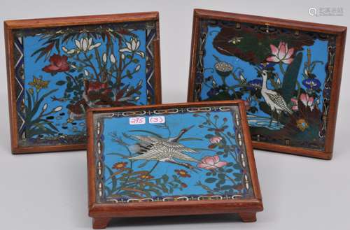 Lot of three Cloisonne trays. Japan. Meiji period (1868-1912). Decoration of birds and flowers. Wooden stands. 4-3/4