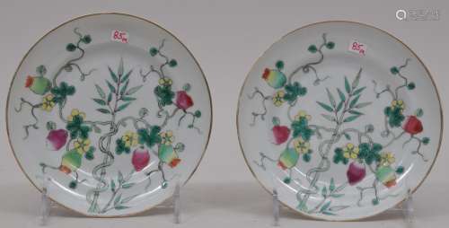 Pair of porcelain saucer dishes. Kuang Hsu mark (1875-1908) and of the period. Famille rose decoration of fruits and flowers. 6