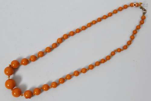 Set of graduated amber beads. Butterscotch colour. Largest bead 1 cm