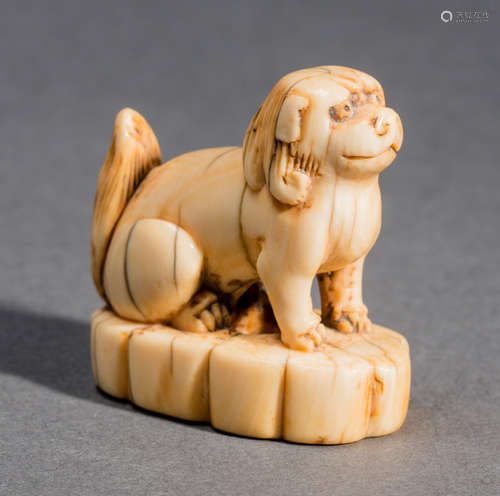 AN IVORY NETSUKE OF A SHISHI