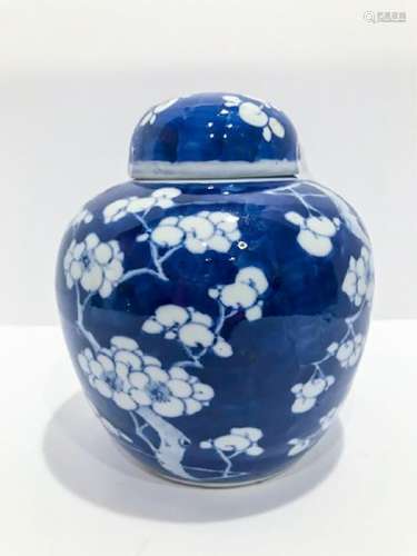 Late Qing Dynasty Chinese Blue and White Porcelain Jar