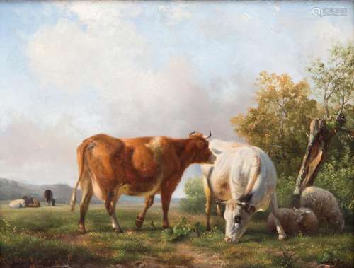 Willem Tjarda van Starckenborgh Stachouwer (1823-1885)