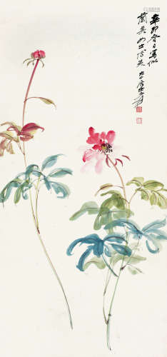 张大千（1899～1983） 1951年作 芍药花 立轴 设色纸本