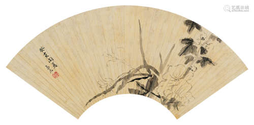 陈撰（1678～1758） 芙蓉 扇面 水墨纸本