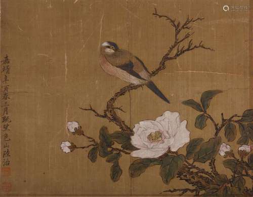 LU ZHI   (follower of, 1496 – 1576) Bird on Flowering Branch ink and colour on silk, album leaf signed Baoshan Lu Zhi, dated Jiajing Xinyou (1561), with two seal of artist 29 x 36.5cm. 陸治（傳）   花鳥圖 設色紙本   冊頁