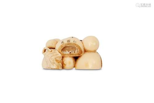 AN IVORY NETSUKE OF NUTS. 19th Century. Carved as