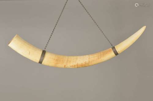 Antique elephant tusk