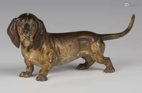 A late 19th/early 20th century Austrian cold painted cast bronze model of a basset hound