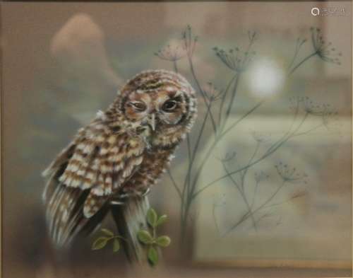 COLIN ROBERTS (CONTEMPORARY) - 'Young Tawny'