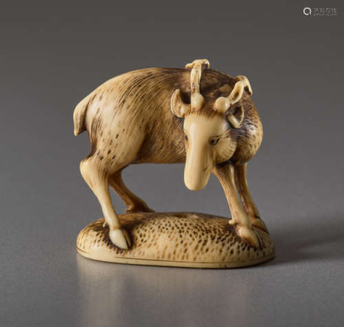 AN IVORY NETSUKE OF A DEERIvory netsuke. Japan,...