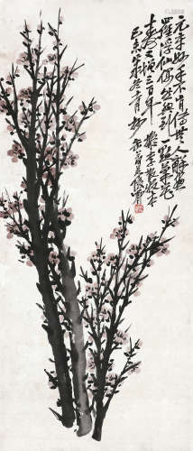 吴昌硕（1844～1927） 1919年作 梅花 立轴 设色纸本