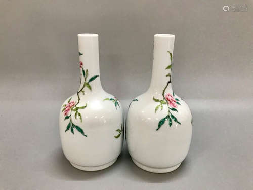 Pair Of Chinese Famille Rose Porcelain Vase