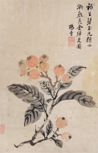 杨晋（1644～1728） 枇杷 立轴 设色纸本