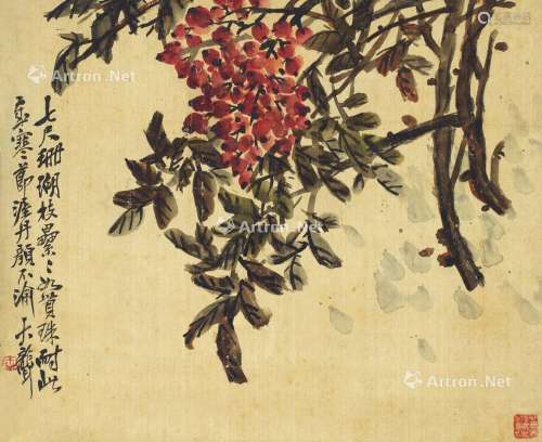 吴昌硕（1844～1927） 天竺花 立轴 绢本