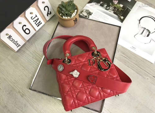 DIOR MINI LADY BAG