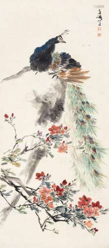 王雪涛（1903～1982） 孔雀杜鹃 立轴 纸本