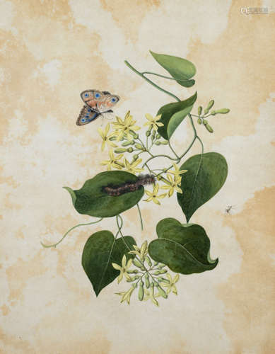 A GROUP OF SEVEN BUTTERFLY PAINTINGS IN ANGLO-CHINESE MANNER