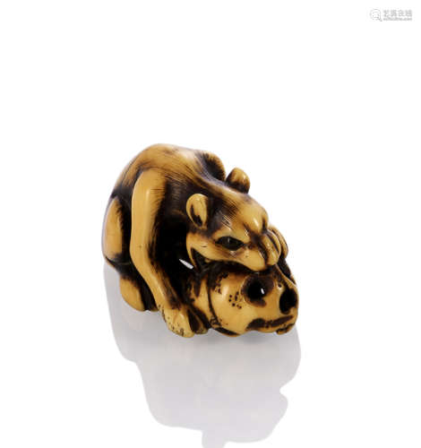 A CARVED IVORY NETSUKE OF A WOLF AND A SKULL