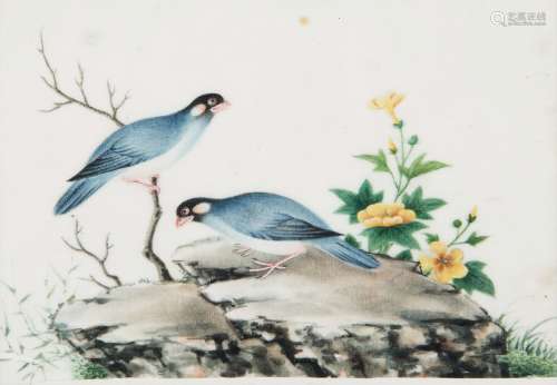 Eleven paintings on paper depicting birds within landscapes and on blossoming branches, China, Qing Dynasty, 19th century