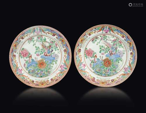 A pair of Pink Family porcelain plates with botanical scenes, China, Qing Dynasty, 19th century