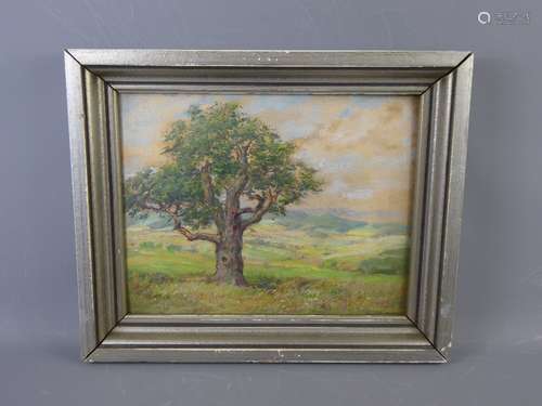 Heinrich Schmidt-Rom (Berlin 1877-1956) Original Oil on Board, depicting a Solitary Oak Tree, signed lower right, approx 23 x 30 cms, framed