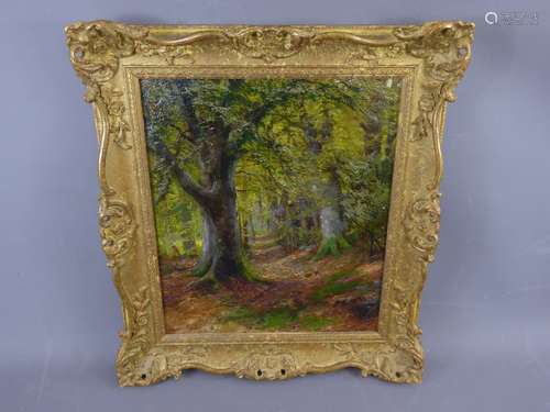 James Henry Crossland (1852-1939) Original Oil on Canvas, depicting a woodland scene, presented in a gilt-wood frame, approx 29 x 35 cms, signed lower left.