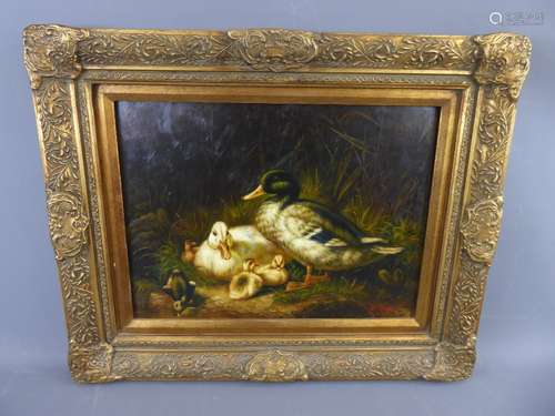 A Contemporary Oil on Board, depicting 'Ducklings', approx 40 x 29 cms, signed lower right C.Hook