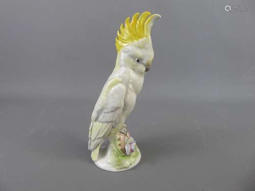 A Continental Porcelain Cockatoo, nr 5648 and CM, approx 26 cms