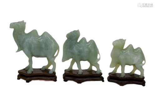 THREE CHINESE CARVED CELEDON JADE CAMELS