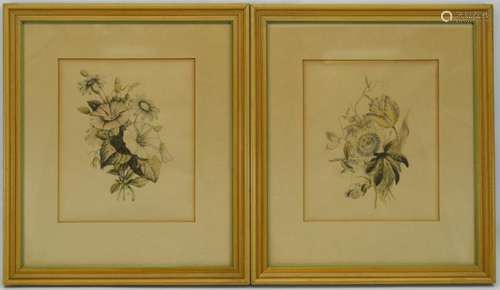 VINTAGE IBFCO FLORAL BOTANICAL PRINTS