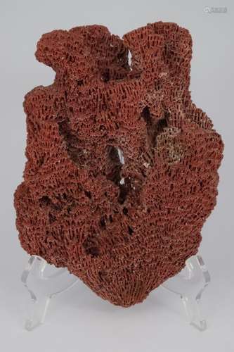 LARGE RED CORAL CLUSTER SPECIMEN