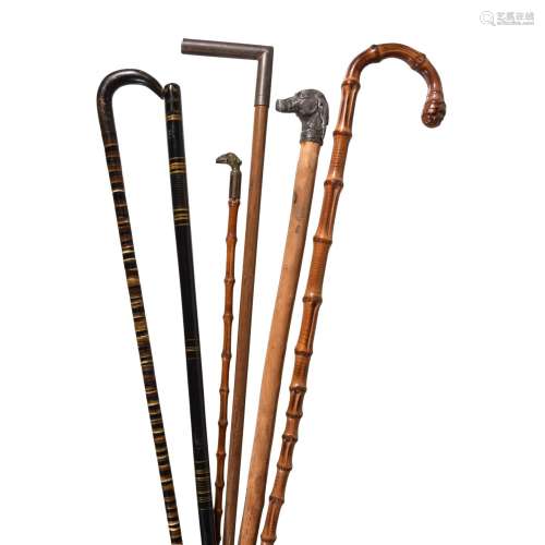 Four various walking sticks
