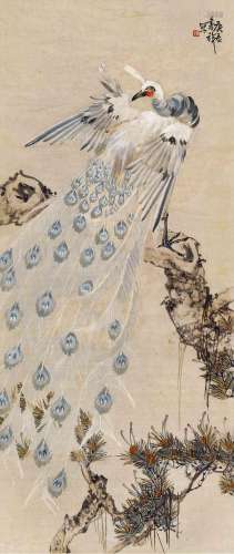 张书旂(1900-1957)  白孔雀                                                                                                                                                                                                                镜心 设色纸本                        庚辰（1940年）作