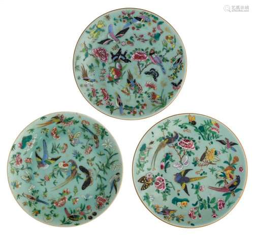 Three Chinese celadon ground famille rose dishes, overall decorated with birds, various insects and flower branches, about 1900, ø 26 cm