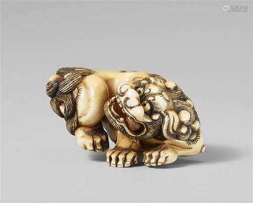 A very fine Kyoto school ivory netsuke of a shishi. Late 18th/early 19th century