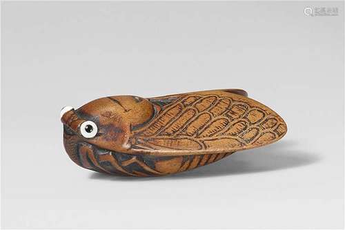 A boxwood netsuke of a cicada. 19th century