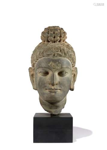 IMPORTANTE TÊTE DE BOUDDHA SHAKYAMUNI EN SCHISTE GRIS, Art Gréco-bouddhique du Gandhara, IIe-IIIe siècle