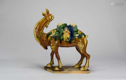 San Cai Camel