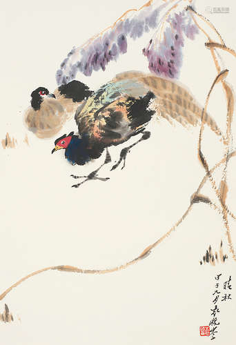 袁晓岑（1915～2008） 锦鸡 镜心 设色纸本