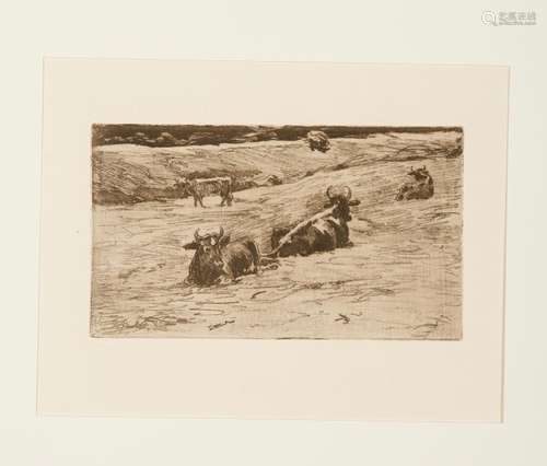 Cows in the pasture. Etching by Bernhard Pankok