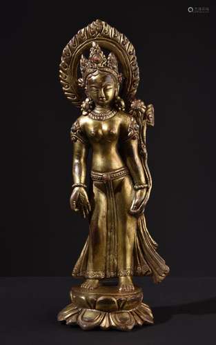 Standing Tara. Fine Tibetan or Chinese Buddha sculpture.